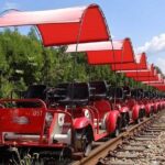 Alpaca World with Gangchon Rail Park One Day Tour - The Final Verdict: Who Is This Tour For?