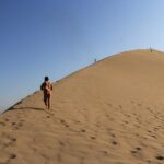 Altyn Emel National Park Day Trip from Almaty - Detailed Breakdown of the Itinerary