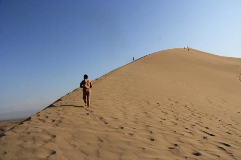 Altyn Emel National Park Day Trip from Almaty - Detailed Breakdown of the Itinerary