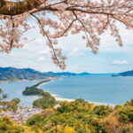 Amanohashidate and Ine Bay Private Trip from Kyoto - What Travelers Can Expect