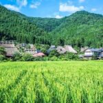 Amanohashidate: Ine Village Photo Safari with Boat Ride - Why This Tour Offers Outstanding Value