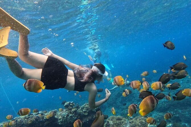 Amazing Cham Island Snorkeling Tour From Hoi An or Da Nang - Final Thoughts