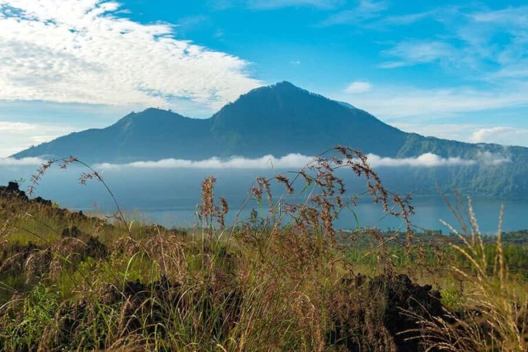Amazing Kintamani Ubud Tour with Overlook Volcano View - A Closer Look at the Itinerary