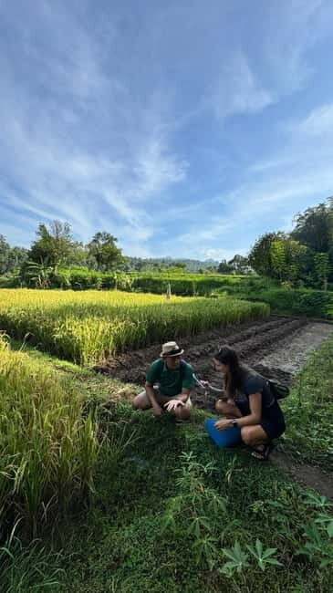 Amazing Murpeji Village West Lombok : Panoramic Walking Tour - FAQ