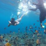 Amazing Nusa Penida Snorkeling Experience - Relaxation and Leisure at the Beach Club