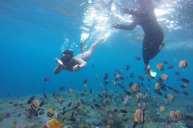 Amazing Nusa Penida Snorkeling Experience - Relaxation and Leisure at the Beach Club