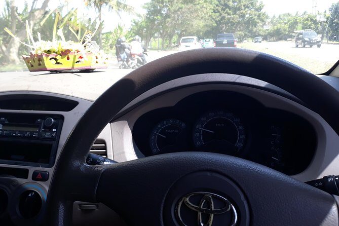 Amed Beach East Bali Private Hotel Transfer - What Sets This Service Apart?