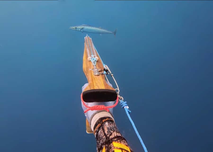 Amed: Spearfishing, Freediving and Catch & Cook Adventure - The Catch & Cook Dinner