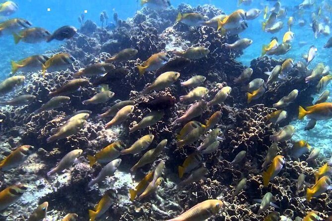 Ang Thong National Marine Park Tour by Speed Boat with Lunch - The Sum Up
