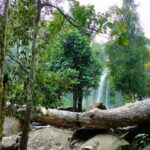 Angkor Day Tours: Phnom Kulen, Beng Mealea & Kampong Phluk Sunset - Beng Mealea: The Jungle’s Secret Temple