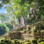 Angkor Wat Full-Day Private Tour  Bayon & Ta Prohm Highlights - Detailed Breakdown of the Itinerary