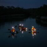 Anglesea: Night Kayaking Tour Under the Stars - What to Expect from the Tour