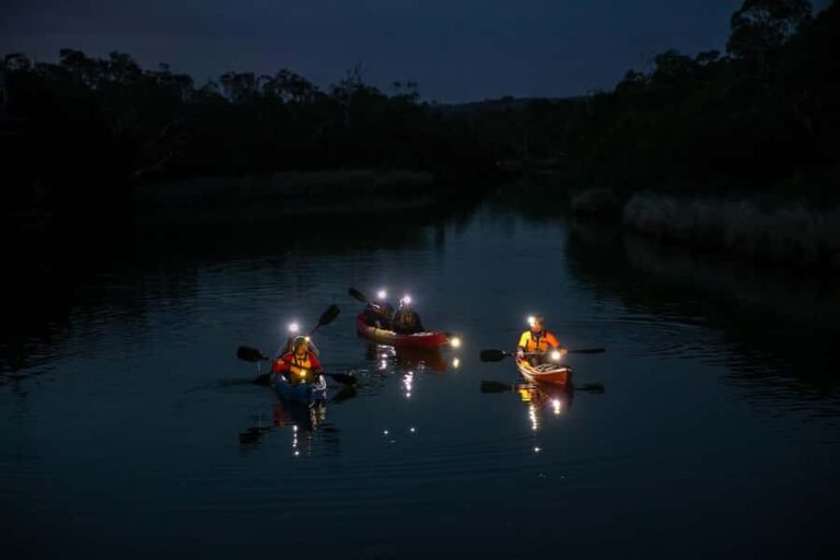 Anglesea: Night Kayaking Tour Under the Stars - What to Expect from the Tour