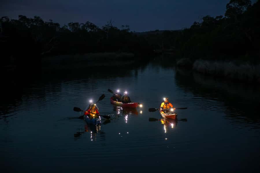 Anglesea: Night Kayaking Tour Under the Stars - What to Expect from the Tour