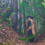 Another Japan Beyond the Mountains Stories and Traditions Await - A Closer Look at the Itinerary