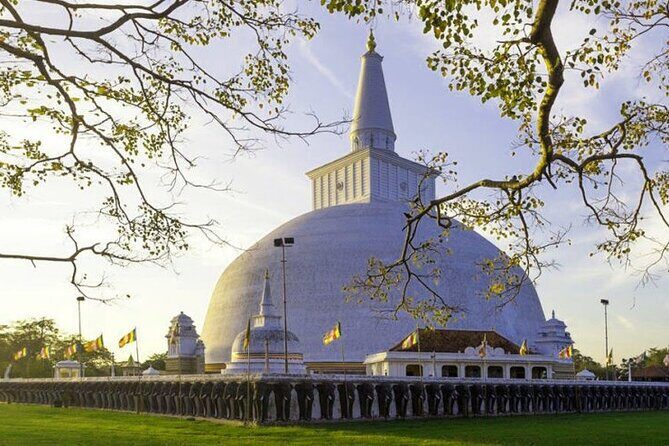 Anuradhapura Day Tour From Sigiriya - The Value Proposition