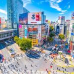 Anywhere you Like Tokyo Customized Tour in 5 hours - The Guide and Personal Touch