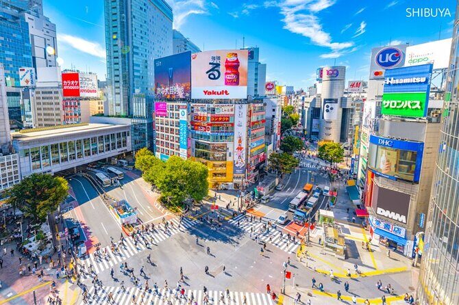 Anywhere you Like Tokyo Customized Tour in 5 hours - The Guide and Personal Touch