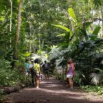 AOA Polynesian Forests - Educational Forest and Scavenger Hunt, Tahiti, West Coast - Who Would Love This Tour?