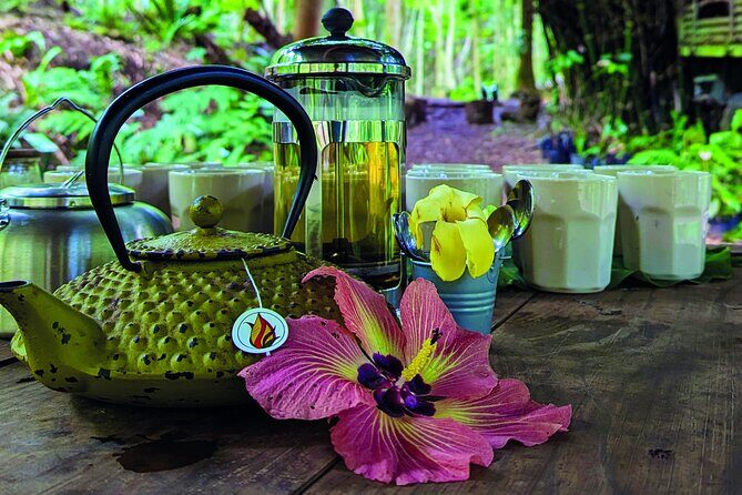 AOA Polynesian Forests - Hiking Sanctuary Biodiversity Tahiti - What Makes This Tour Special?