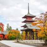 Aomori: Hirosaki Private Shore Excursion for cruise guest - What to Know Before You Book