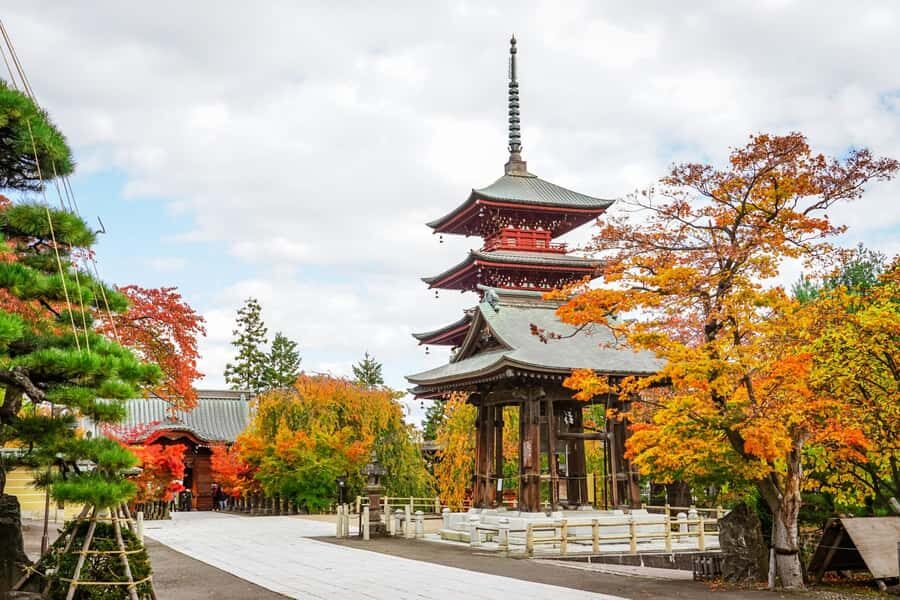 Aomori: Hirosaki Private Shore Excursion for cruise guest - What to Know Before You Book