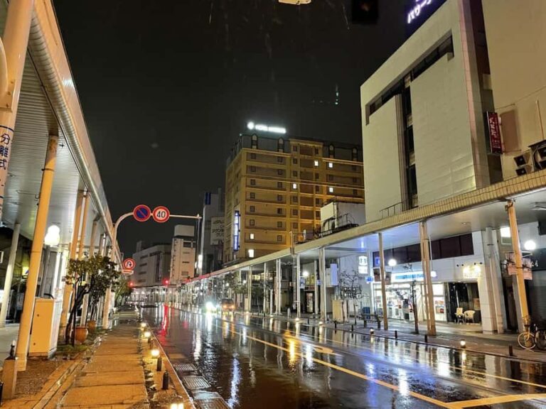 Aomori: Local Food & Bar Hopping Near Aomori Station - Why This Tour Works Well