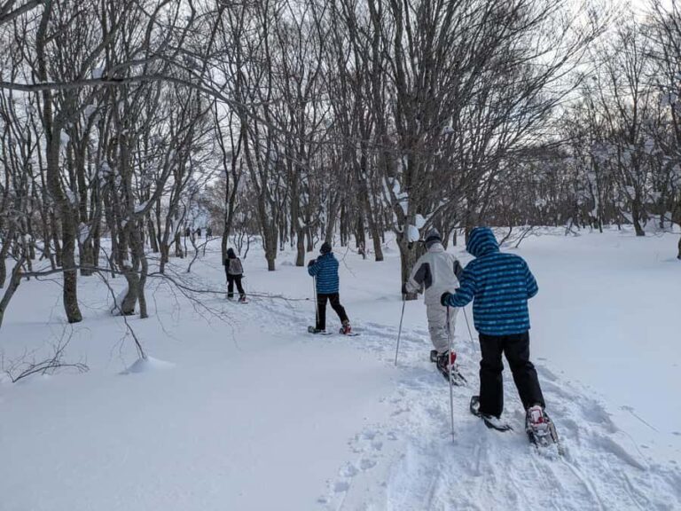 AOMORI: Snowshoe Adventure & Winter Bites at Sukayu - Why the Guides Make a Difference