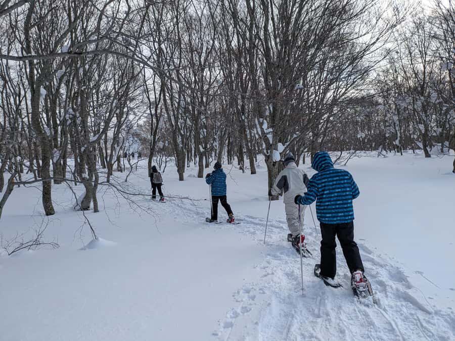 AOMORI: Snowshoe Adventure & Winter Bites at Sukayu - Why the Guides Make a Difference