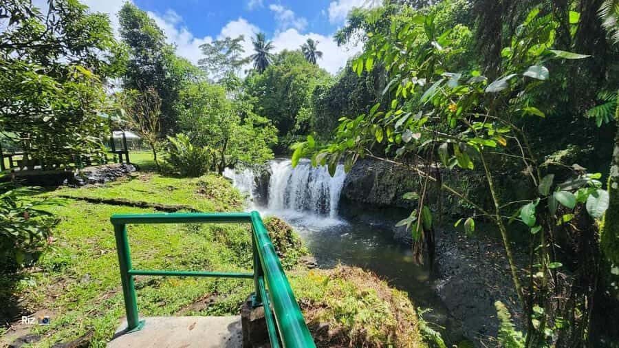 Apia: Upolu Island Full-Day Tour with a Local Guide - The Value of This Tour