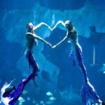 Aquaria Phuket and 4D Trickeye Museum Experience Ticket - Practical Details and Tips