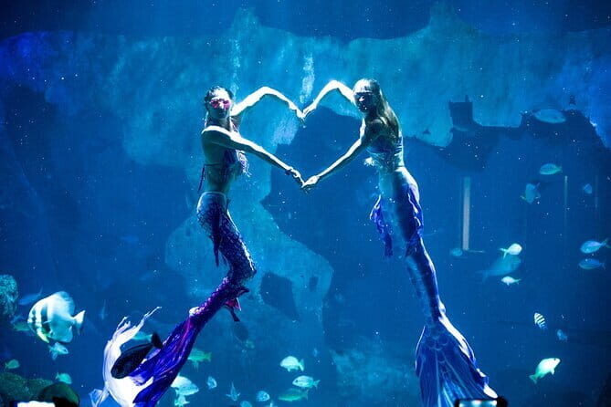 Aquaria Phuket and 4D Trickeye Museum Experience Ticket - Practical Details and Tips