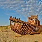 Aral Sea Tour with Khiva-Samarkand and Bukhara and Tashkent - Transportation and Group Experience