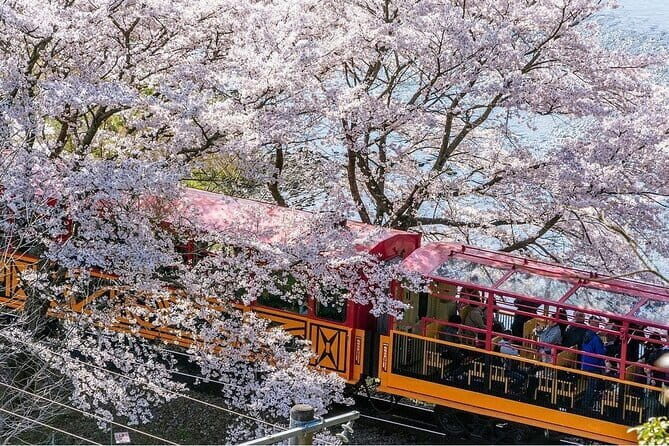 Arashiyama Sagano Romantic TrainFushimi Inari Taisha & Nara Park - Who Will Love This Tour?