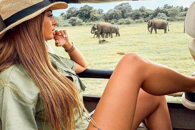 Arugam Bay to Mirissa Shuttle and Safari Drive - Who Will Love This Tour?