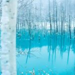 Asahiyama Adventure: Zoo+Waterfalls & Blue Pond Day Tour - A Deep Dive into Hokkaido’s Highlights