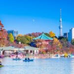 Asakusa and Ueno Half Day Tour with Local Guide - Why This Tour Stands Out