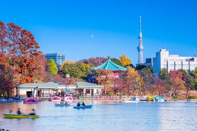 Asakusa and Ueno Half Day Tour with Local Guide - Why This Tour Stands Out