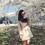 Asakusa: Cherry Blossom Viewing and History Tour - The Itinerary in Detail