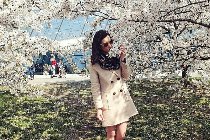 Asakusa: Cherry Blossom Viewing and History Tour - The Itinerary in Detail