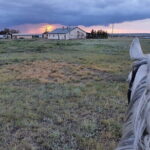 Astana Unbridled: Seven Days of Culture and Adventure - Who Should Consider This Tour?