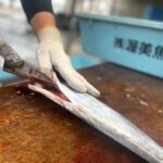 Atsumi Fish Market Live Action Exoerience - Practical Tips & What to Expect