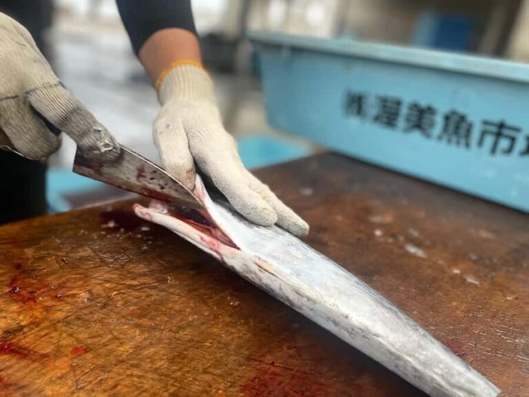 Atsumi Fish Market Live Action Exoerience - Practical Tips & What to Expect