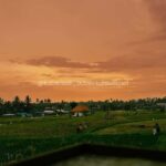 ATV Adventure with Waterfall, Tunnel, and River Ride - What to Expect from Your Bali ATV Adventure