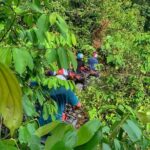 ATV, Buggi, UTV, Zipline - The Itinerary Breakdown