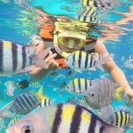 ATV Quad Ride and Blue Lagoon Snorkeling - Practical Tips for Making the Most of Your Day