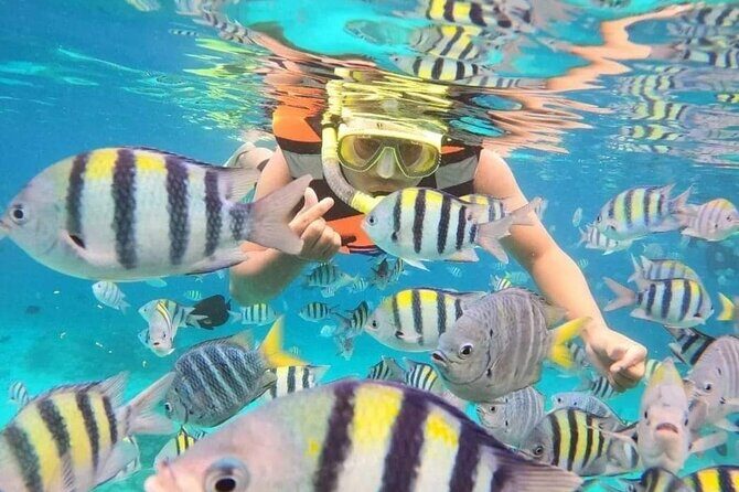 ATV Quad Ride and Blue Lagoon Snorkeling - Practical Tips for Making the Most of Your Day