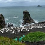 Auckland City and West Coast Black Sand Beach Full Day Tour - Exploring Coastal Auckland