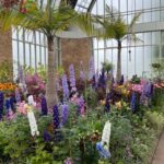 Auckland CITY HIGHLIGHTS Tour with Hotel Pickup - What You Can Expect in Terms of Logistics and Value