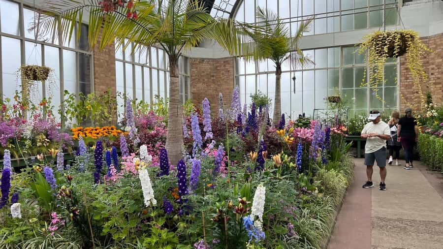 Auckland CITY HIGHLIGHTS Tour with Hotel Pickup - What You Can Expect in Terms of Logistics and Value